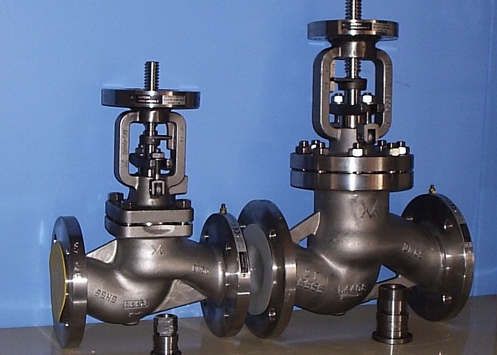 NP40 - 25 - 16 Bellow Globe Valve 