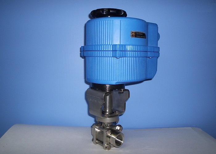 Rotary Electric Actuator