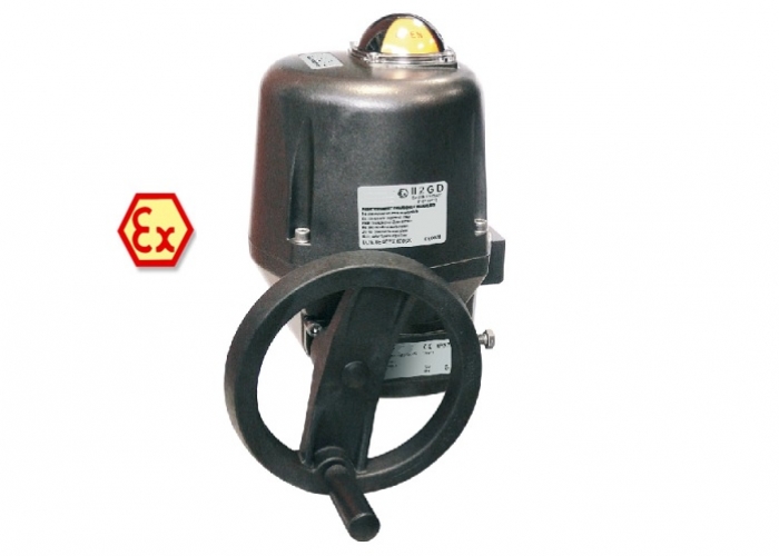 ATEX Rotary Electric Actuator