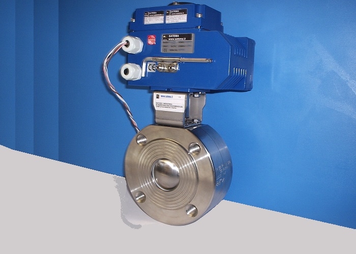 Rotary Electric Actuator