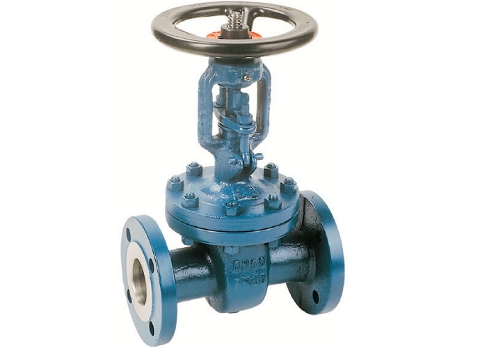 NP40 Oval Body Gate Valve - Outside screw